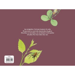 Mystères et toiles d'araignée - Les aranéides Mystères et toiles d'araignée - Les aranéides