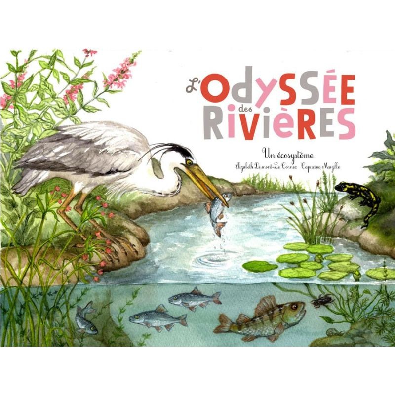 L'odyssée des rivières - Un écosystème aquatique