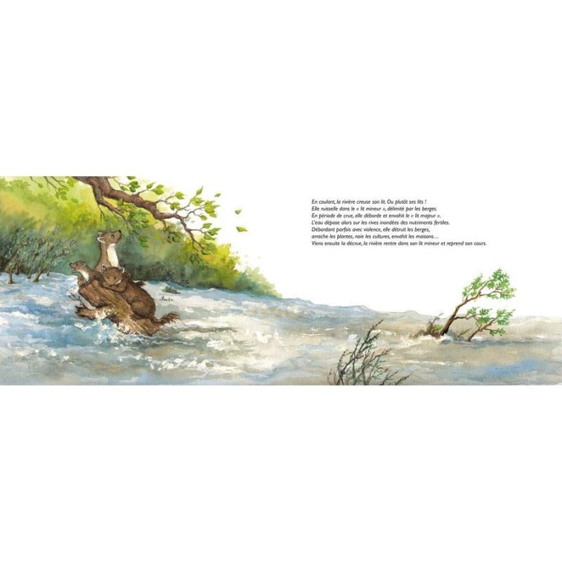 L'odyssée des rivières - Un écosystème aquatique L'odyssée des rivières - Un écosystème aquatique