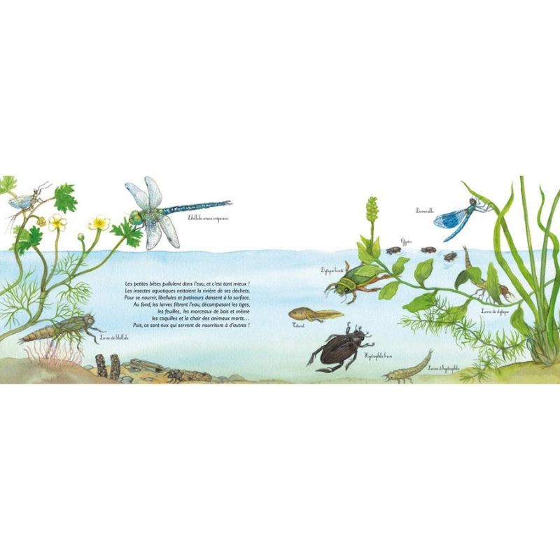 L'odyssée des rivières - Un écosystème aquatique L'odyssée des rivières - Un écosystème aquatique