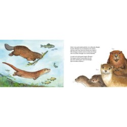 L'odyssée des rivières - Un écosystème aquatique L'odyssée des rivières - Un écosystème aquatique