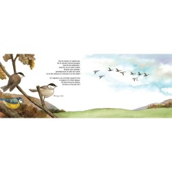 À vol d'oiseau - La migration des oiseaux