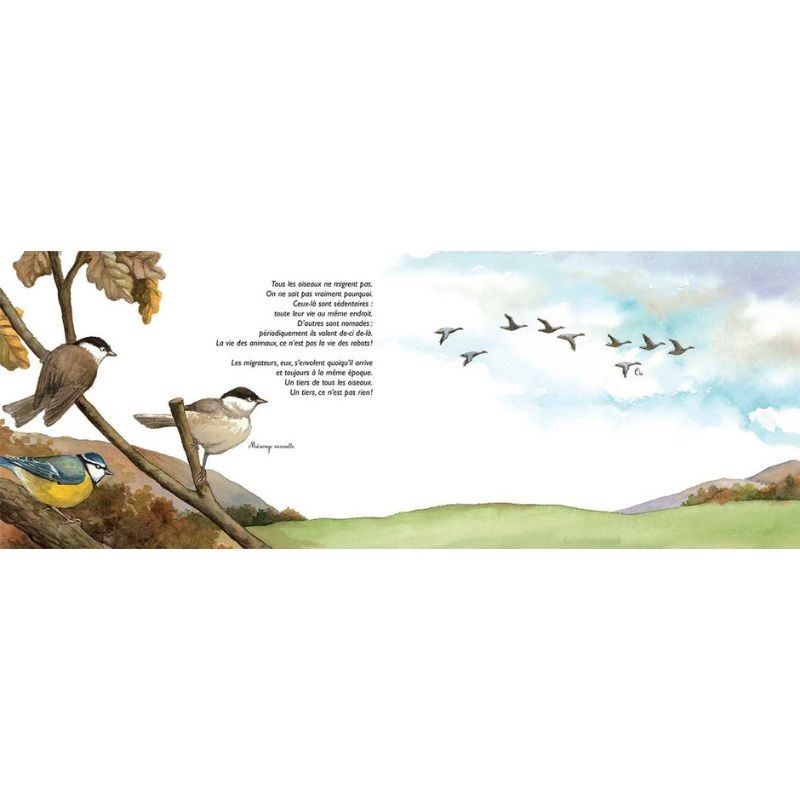 À vol d'oiseau - La migration des oiseaux