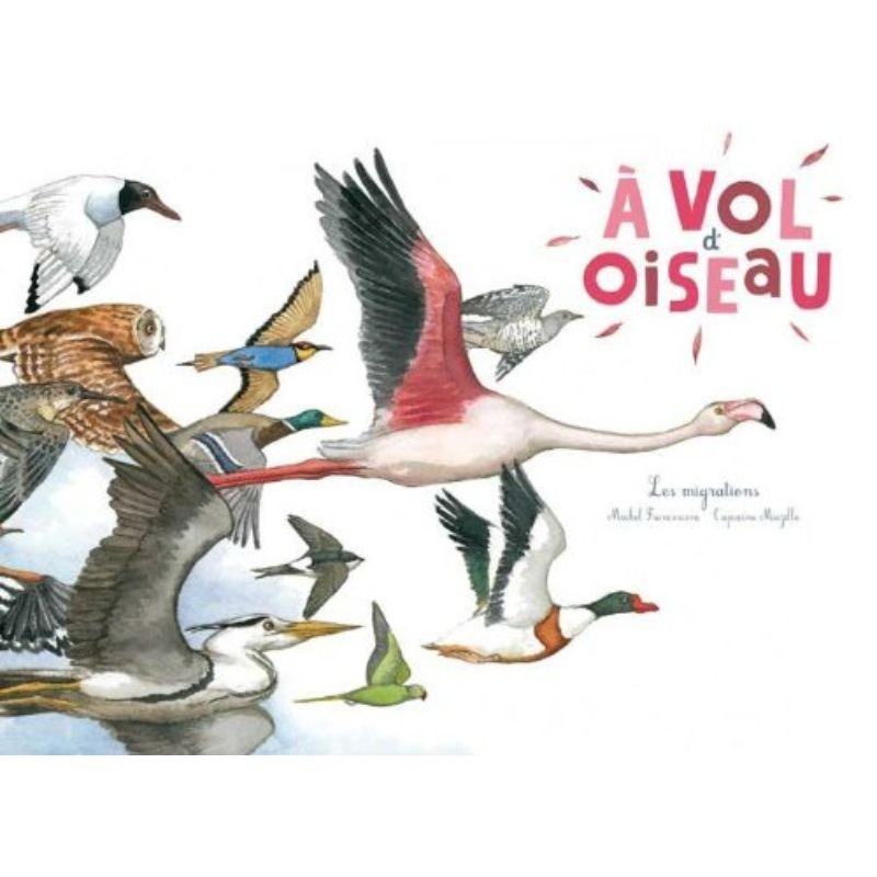 À vol d'oiseau - La migration des oiseaux