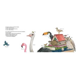 À vol d'oiseau - La migration des oiseaux