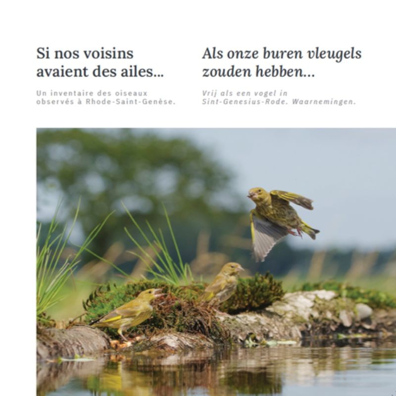 Si nos voisins avaient des ailes… - Als onze buren vleugels zouden hebben