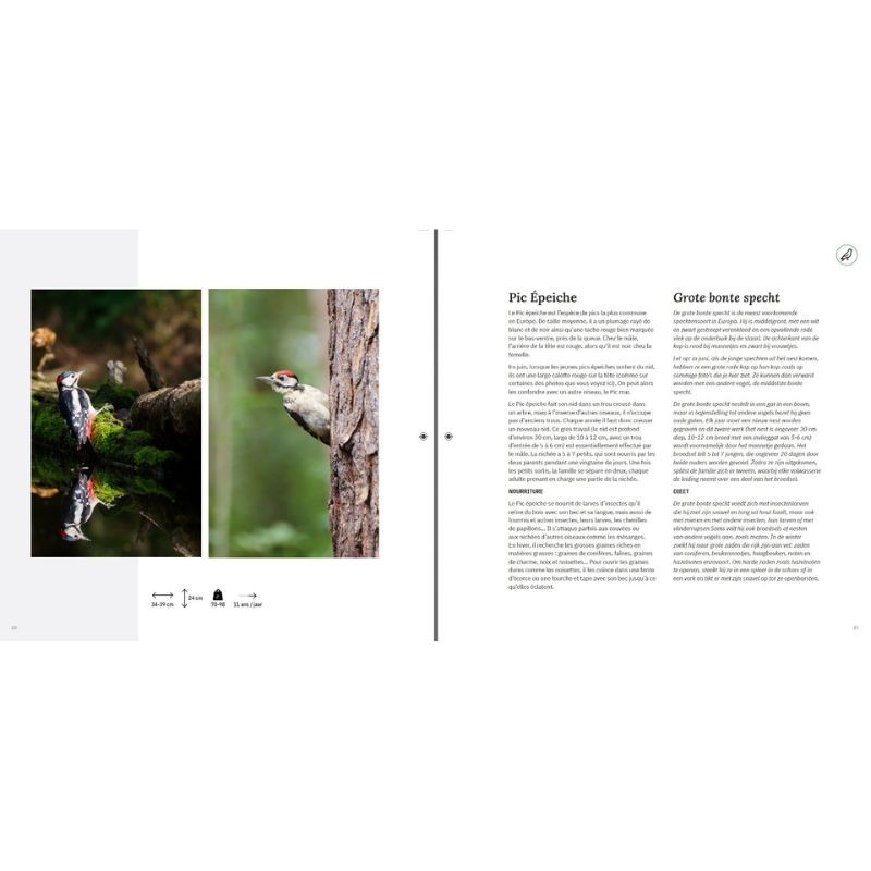 Si nos voisins avaient des ailes… - Als onze buren vleugels zouden hebben