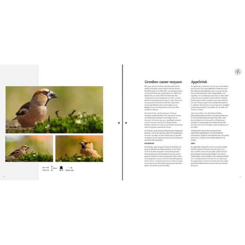 Si nos voisins avaient des ailes… - Als onze buren vleugels zouden hebben