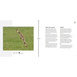 Si nos voisins avaient des ailes… - Als onze buren vleugels zouden hebben