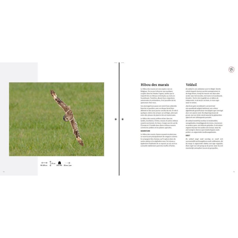 Si nos voisins avaient des ailes… - Als onze buren vleugels zouden hebben