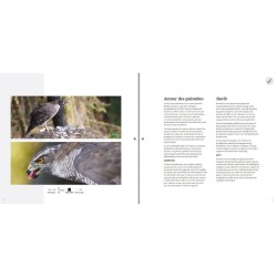 Si nos voisins avaient des ailes… - Als onze buren vleugels zouden hebben