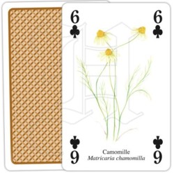 Jeu de cartes - Plantes aromatiques et médicinales Jeu de cartes - Plantes aromatiques et médicinales