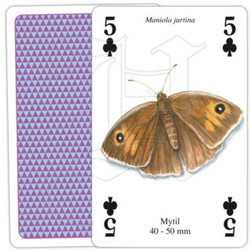 Jeu de cartes - Papillons