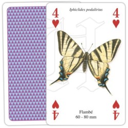 Jeu de cartes - Papillons