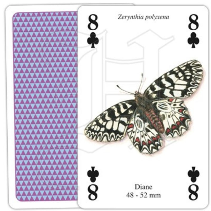 Jeu de cartes - Papillons