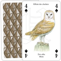 Jeu de cartes - Rapaces Jeu de cartes - Rapaces