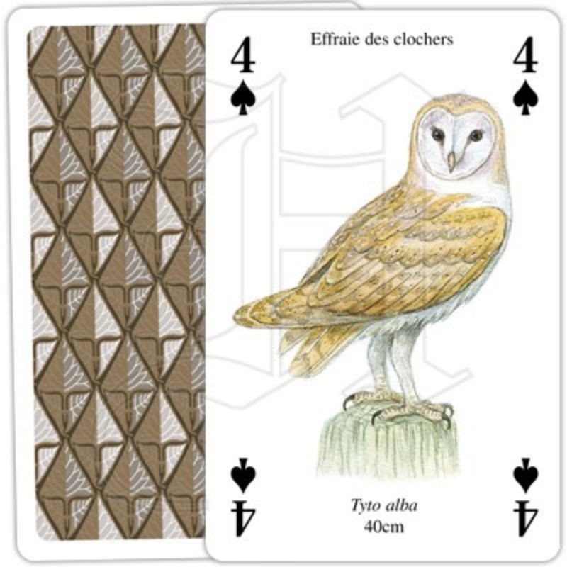 Jeu de cartes - Rapaces Jeu de cartes - Rapaces