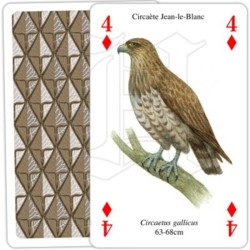 Jeu de cartes - Rapaces Jeu de cartes - Rapaces