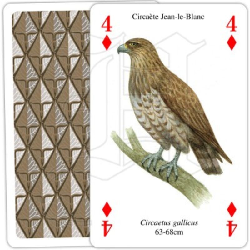 Jeu de cartes - Rapaces Jeu de cartes - Rapaces