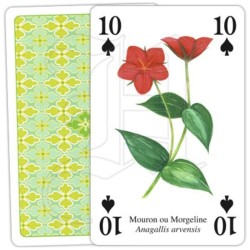 Jeu de cartes - Fleurs sauvages