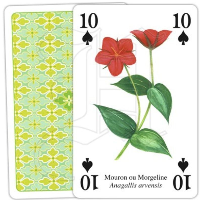 Jeu de cartes - Fleurs sauvages