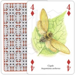 Jeu de cartes - Insectes et araignées