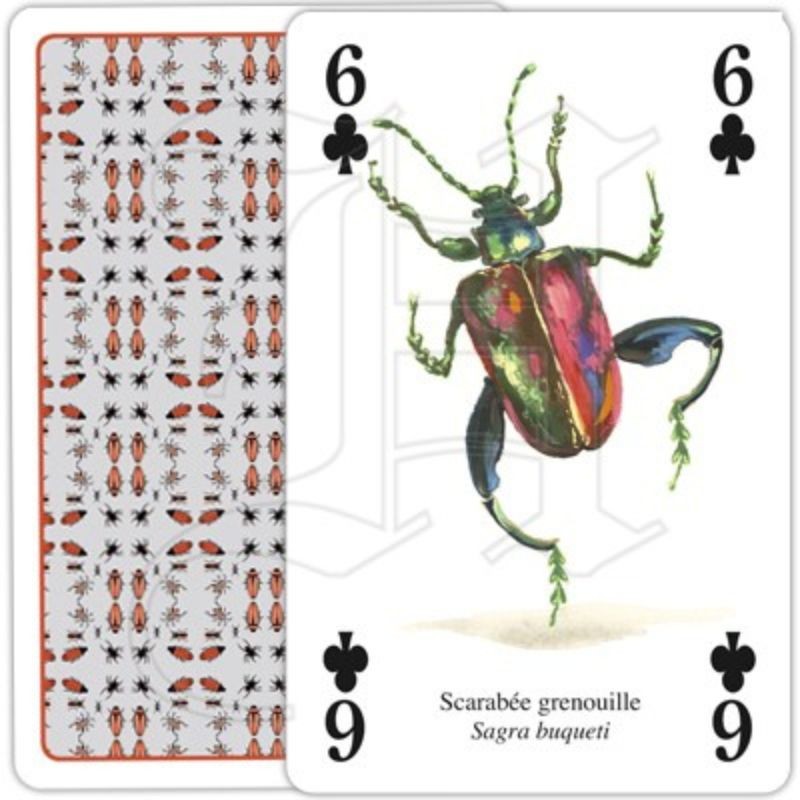 Jeu de cartes - Insectes et araignées