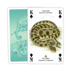 Jeu de cartes - Reptiles &amp; Amphibiens