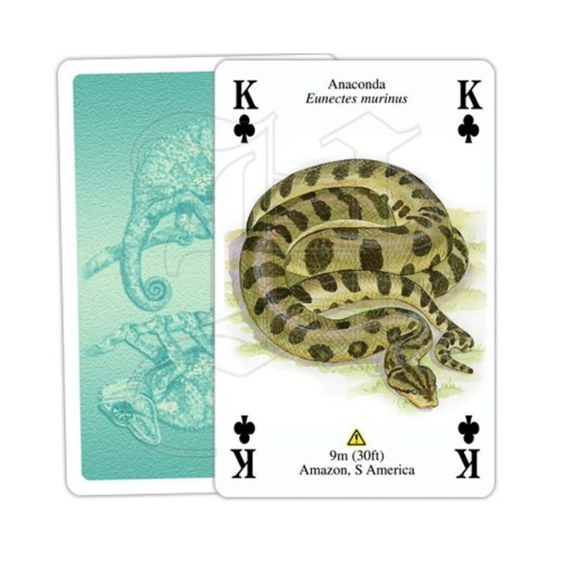 Jeu de cartes - Reptiles &amp; Amphibiens