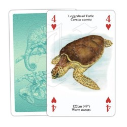 Jeu de cartes - Reptiles &amp; Amphibiens