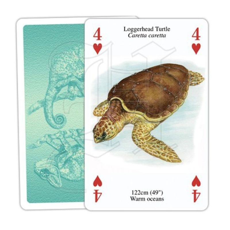Jeu de cartes - Reptiles &amp; Amphibiens