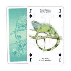 Jeu de cartes - Reptiles &amp; Amphibiens