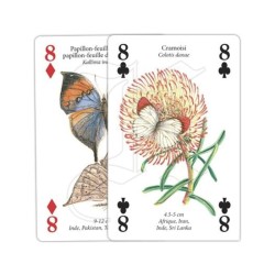 Jeu de cartes - Papillons du Monde Jeu de cartes - Papillons du Monde