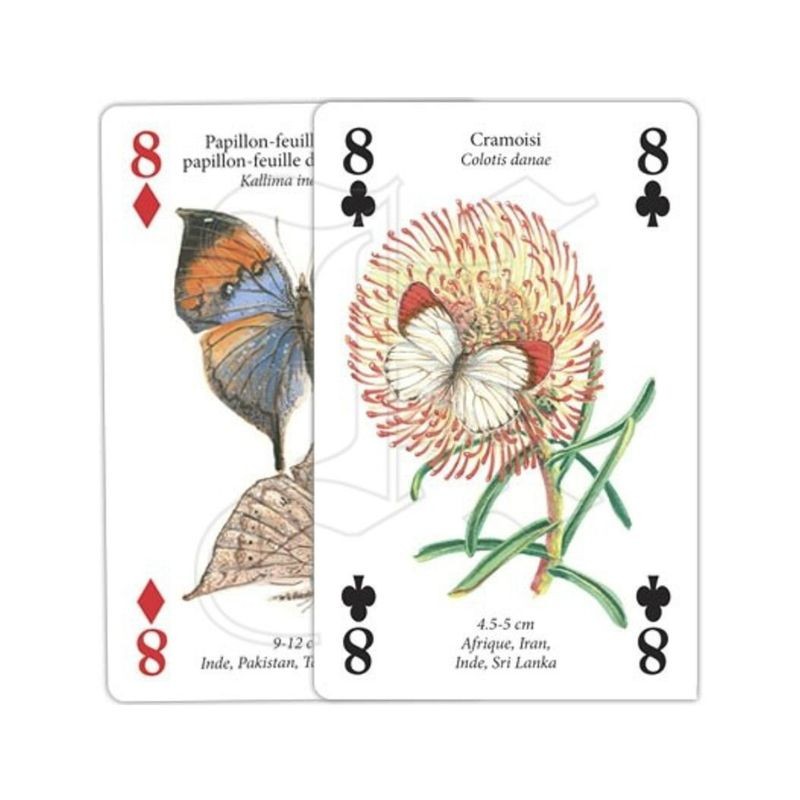 Jeu de cartes - Papillons du Monde Jeu de cartes - Papillons du Monde