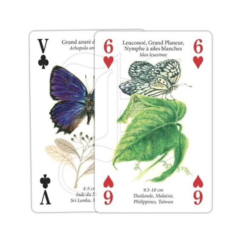 Jeu de cartes - Papillons du Monde Jeu de cartes - Papillons du Monde