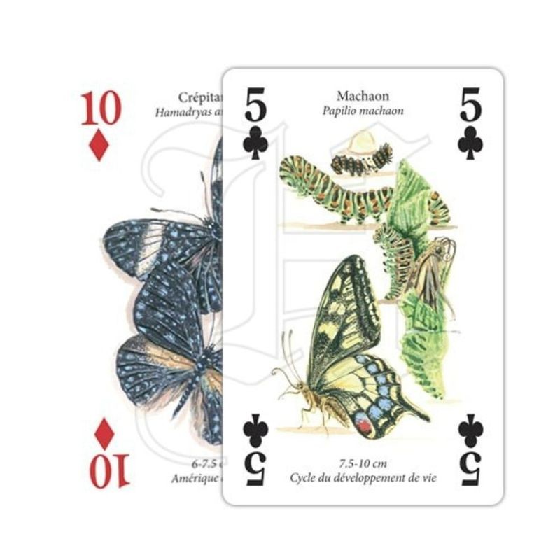 Jeu de cartes - Papillons du Monde Jeu de cartes - Papillons du Monde