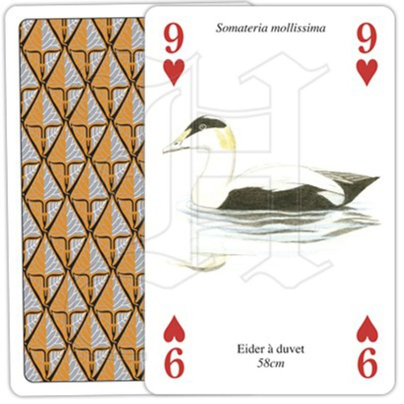 Jeu de cartes - Oiseaux de la Mer