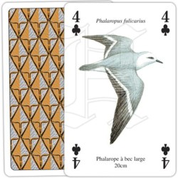 Jeu de cartes - Oiseaux de la Mer