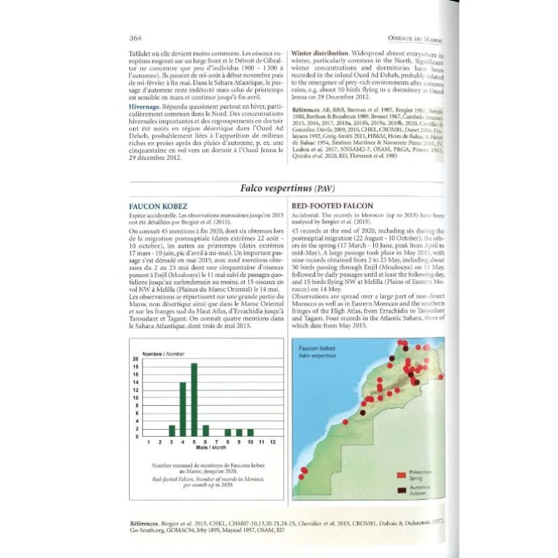 Oiseaux du Maroc - Birds of Morocco