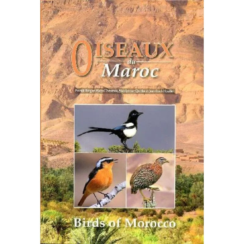 Oiseaux du Maroc - Birds of Morocco