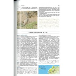 Oiseaux du Maroc - Birds of Morocco