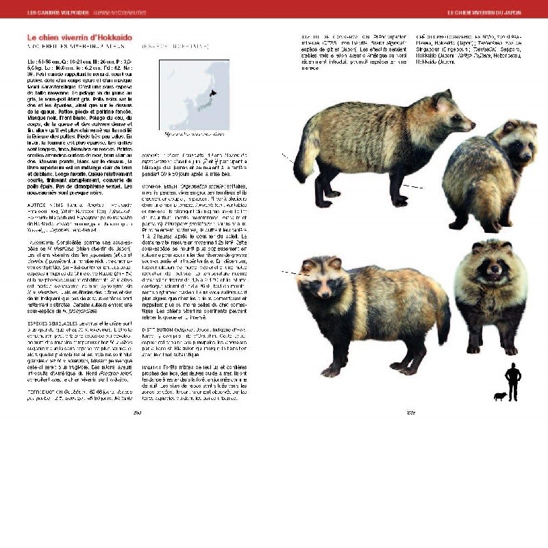 Canidés du Monde - Loups, chiens sauvages, renards, chacals, coyotes, et apparentés