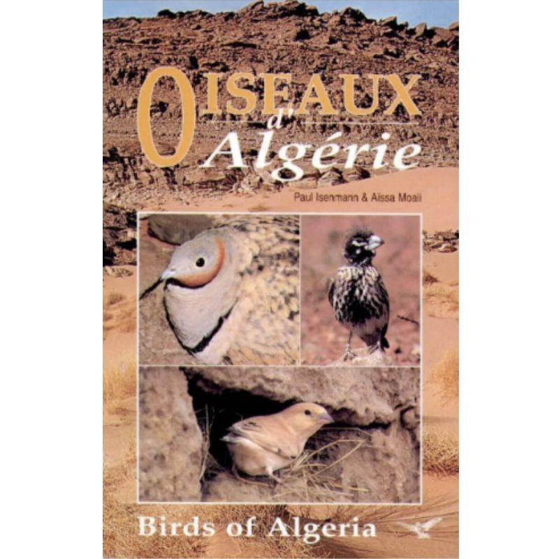 Oiseaux d'Algérie - Birds of Algeria