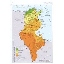 Oiseaux de Tunisie - Birds of Tunisia Oiseaux de Tunisie - Birds of Tunisia