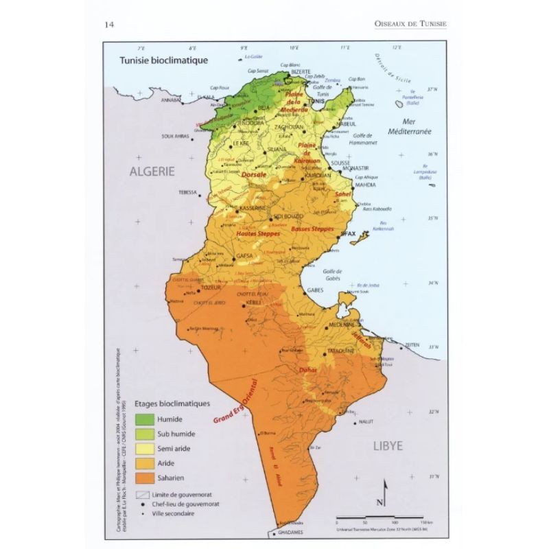 Oiseaux de Tunisie - Birds of Tunisia Oiseaux de Tunisie - Birds of Tunisia