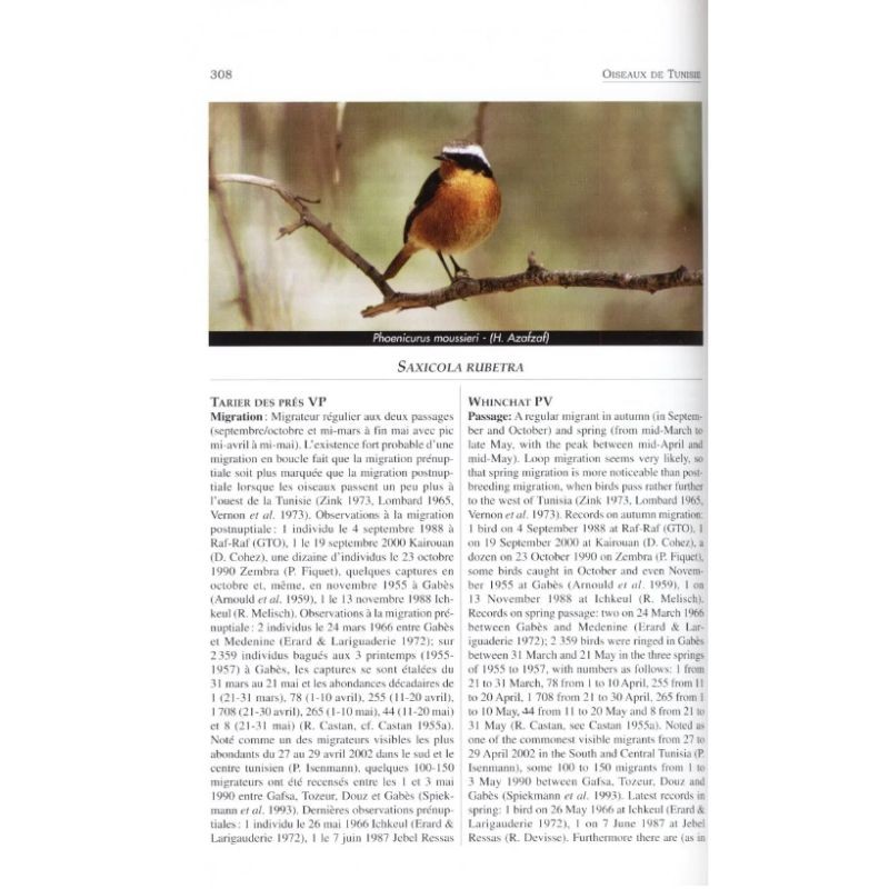 Oiseaux de Tunisie - Birds of Tunisia Oiseaux de Tunisie - Birds of Tunisia