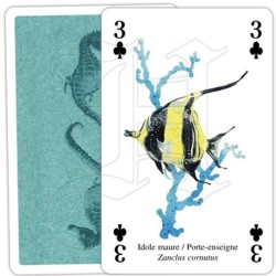 Jeu de cartes - Vie des Océans Jeu de cartes - Vie des Océans
