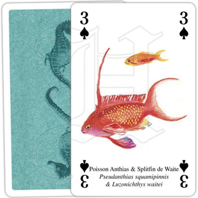 Jeu de cartes - Vie des Océans Jeu de cartes - Vie des Océans