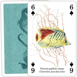 Jeu de cartes - Vie des Océans Jeu de cartes - Vie des Océans