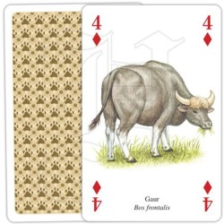 Jeu de cartes - Animaux d'Asie
